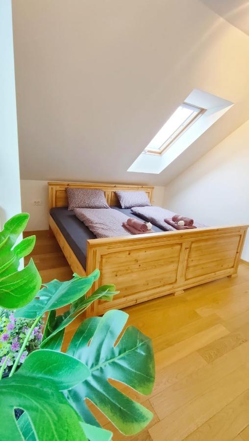 Apartmaji Dora Mojstrana Exteriör bild